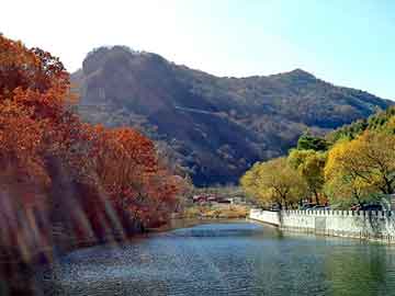 新澳天天开奖资料大全旅游团，硝酸硫胺